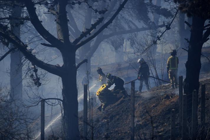 Alerta Roja en Valparaíso por incendio forestal en sector de Laguna Verde