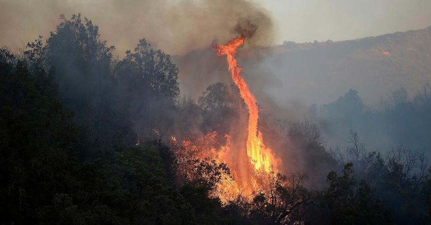 [VIDEO] Incendio forestal: Se mantiene alerta roja en Quilpué y amarilla en Santo Domingo
