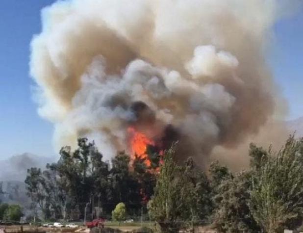 Incendio forestal en las cercanías del Hospital Psiquiátrico el Peral