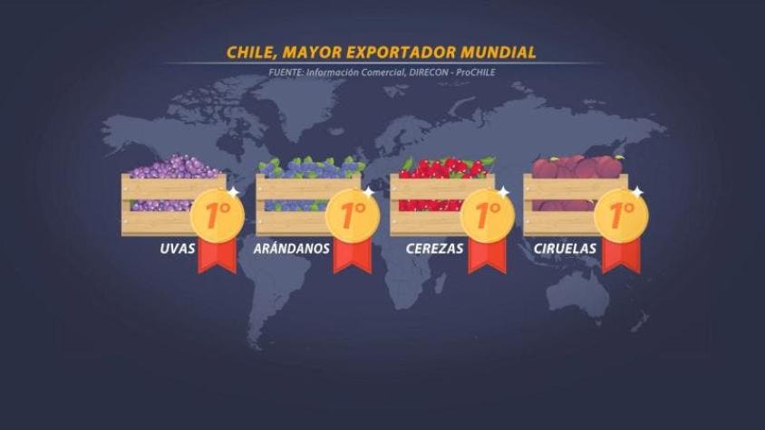 [VIDEO] Chile es "top one" en exportación de frutas en el mundo