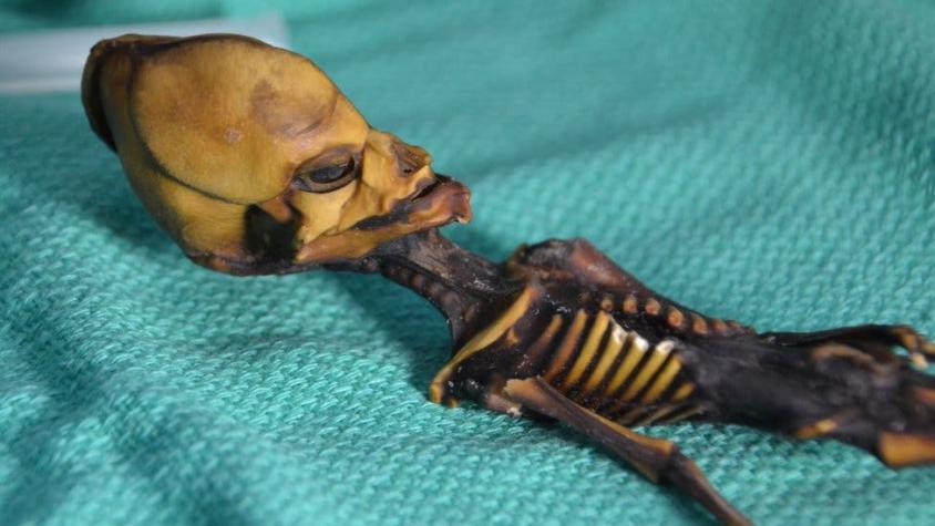 Las acusaciones de exhumación ilegal y robo que rodean al estudio sobre momia de Chile