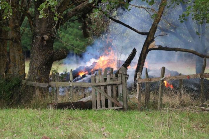 Encapuchados queman dos casas y dos galpones con fardos en Cañete