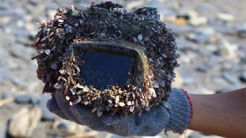 La cámara fotográfica que pasó más de dos años perdida en el mar y volvió a encontrar a su dueña