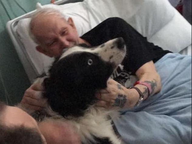 [VIDEO] Perro visita a su dueño en hospital escocés horas antes de su muerte