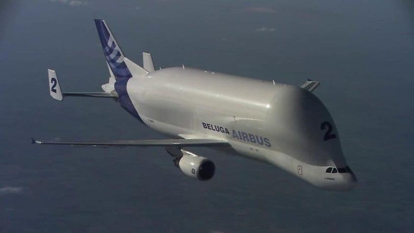 Cómo es el BelugaXL, el nuevo y gigantesco avión de carga de Airbus que parece una ballena