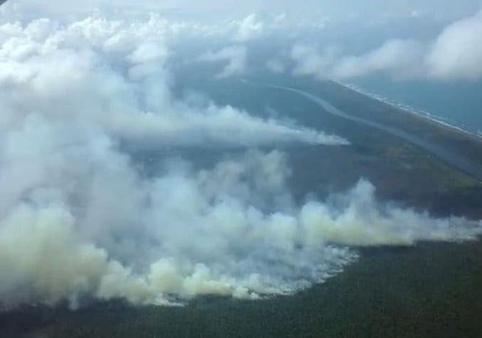El incendio "fuera de control" que avanza en la reserva Indio Maíz en Nicaragua
