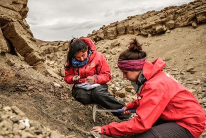 Encuentran restos de dinosaurios intacto en Magallanes