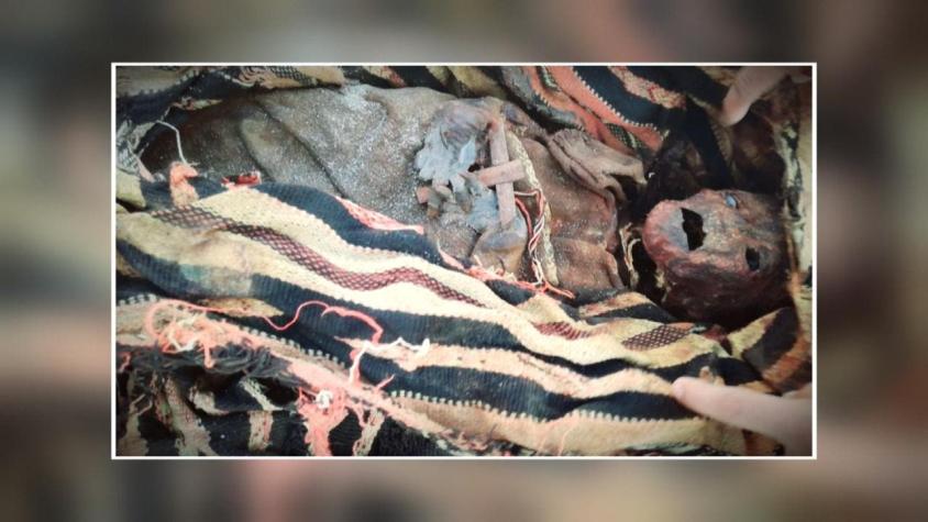 [VIDEO] Perra encontró una momia en Arica
