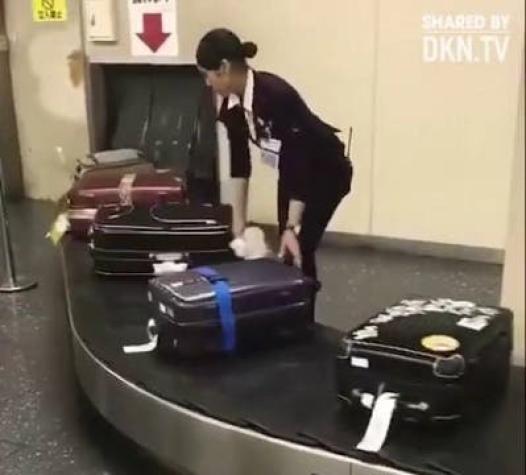 [VIDEO] El sorprendente cuidado que le dan a las maletas en un aeropuerto en Japón