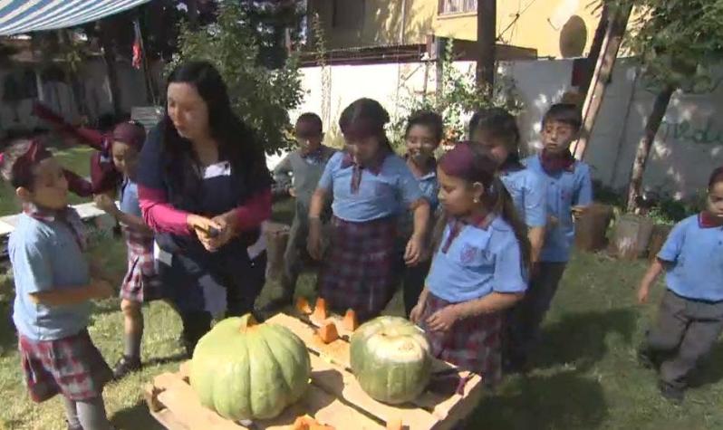 [VIDEO] El colegio sustentable de La Pintana