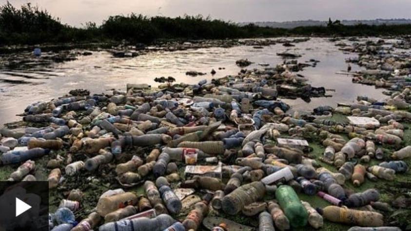 [VIDEO] ¿Podría ser ésta la solución para el problema de los desechos plásticos?