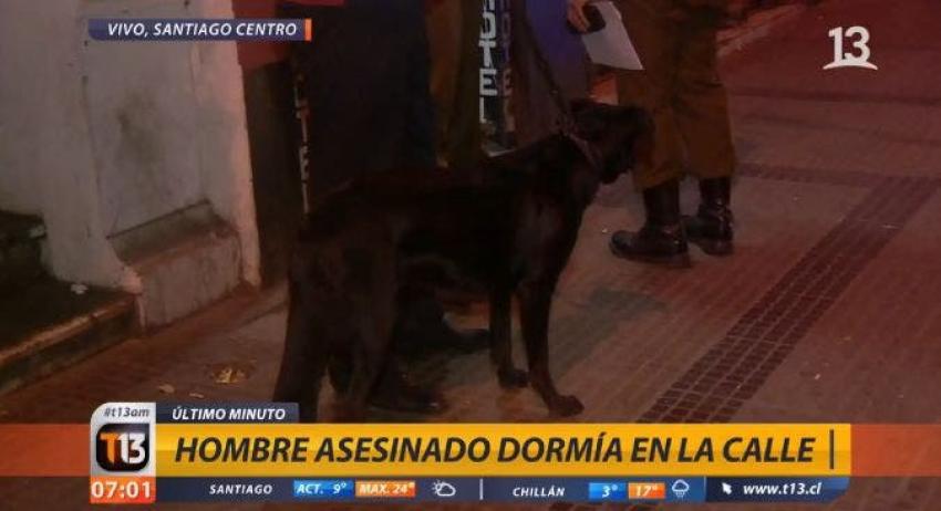 [VIDEO] La entristecedora reacción de los perros de un indigente asesinado en Santiago