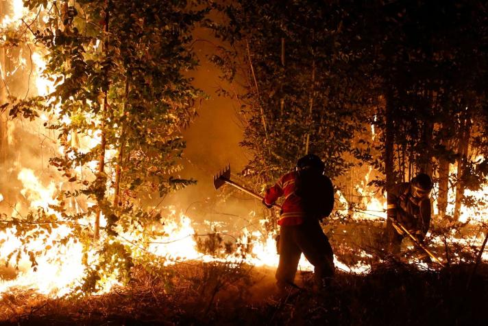Declaran alerta amarilla para Til Til por incendio forestal