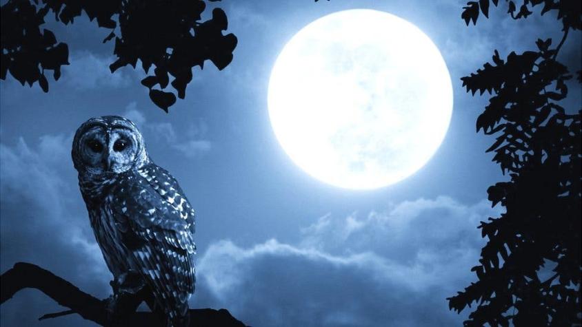 ¿Puede la Luna llena afectar la calidad del sueño?