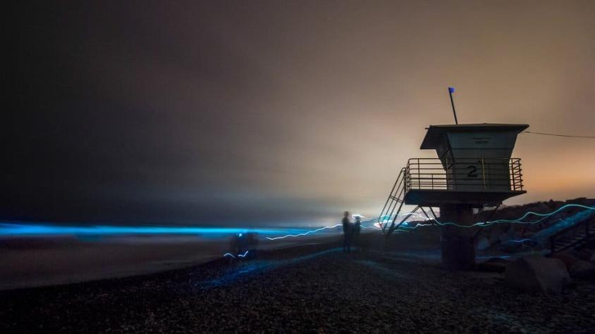 Estados Unidos: el espectacular fenómeno que tiñe de azul fluorescente el mar de San Diego