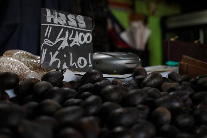 Precio del kilo de palta supera los 4 mil pesos: revisa las razones del alza