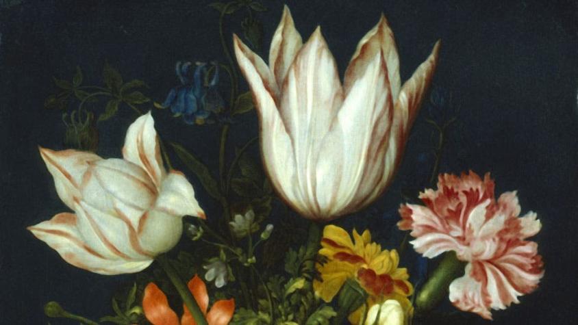 Cómo fue la "crisis de los tulipanes", la primera gran burbuja financiera de la historia mundial