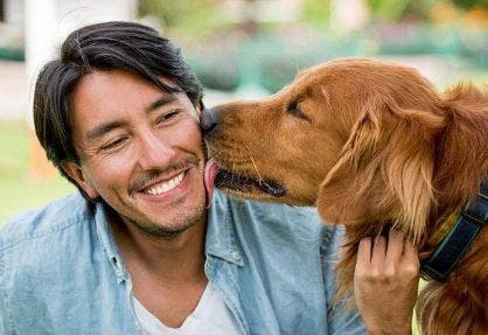 Hidatidosis: La grave enfermedad que puede provocar recibir un lengüetazo de tu perro