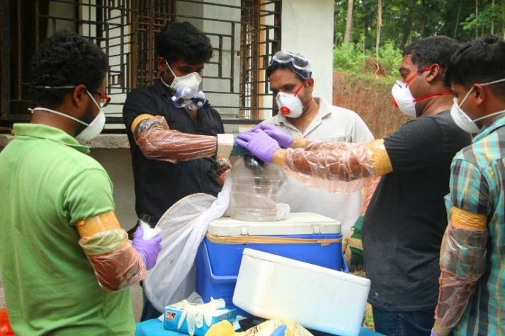 OMS advierte sobre el peligroso virus Nipah: no tiene cura y ha matado a 17 personas en la India