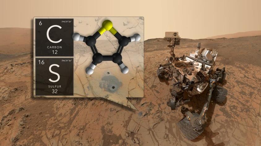 [VIDEO] Nuevo hallazgo ¿Hubo vida en Marte?