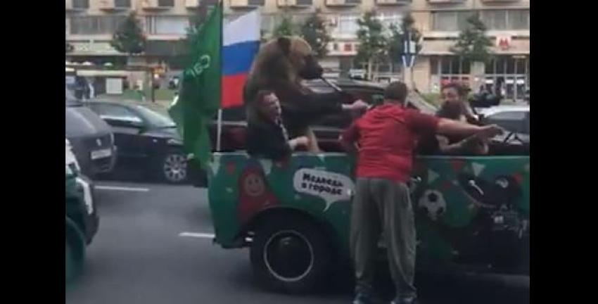 [VIDEO] Un oso tocando vuvuzela por las calles de Rusia: La imagen es real y genera polémica