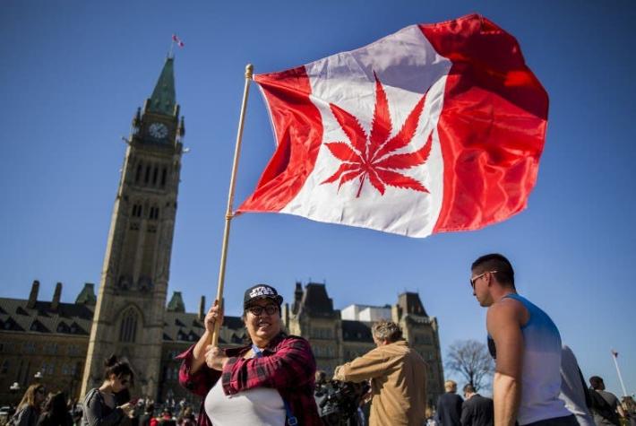 Canadá aprueba proyecto que legaliza el uso recreacional de la marihuana