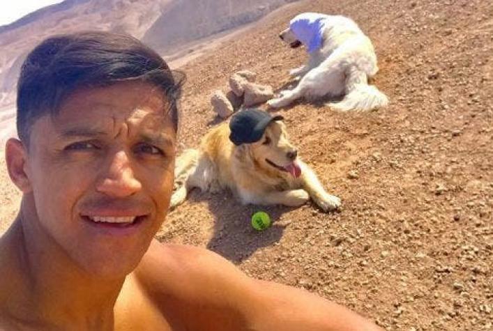 [FOTOS] En el desierto y junto a sus perros: así es el entrenamiento de Alexis Sánchez