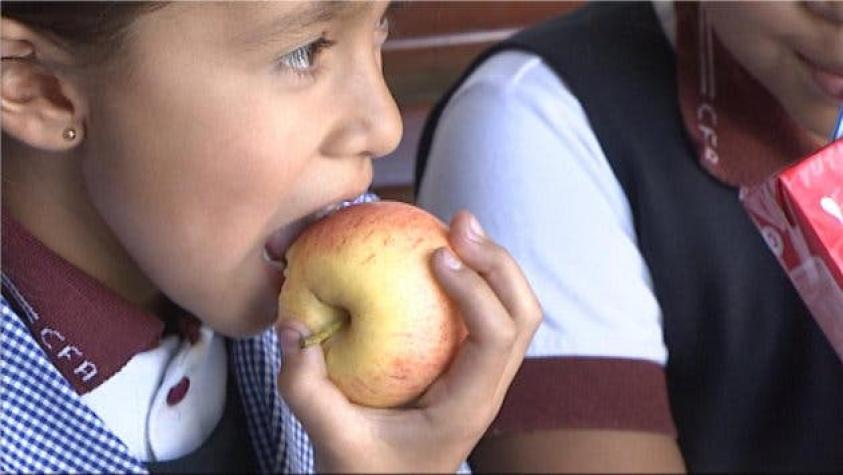 Junaeb informa sobre entrega de colaciones en colegios con clases suspendidas