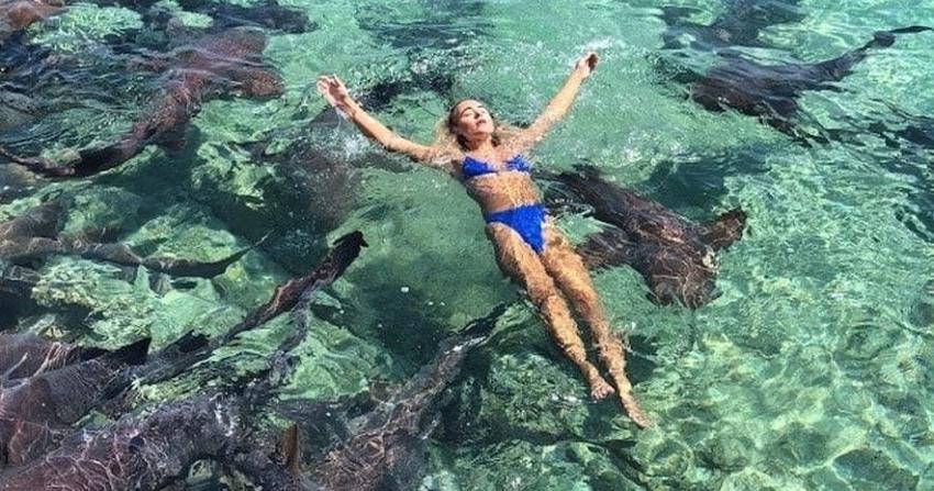 [FOTOS] Joven modelo es mordida por un tiburón durante arriesgada sesión de fotos