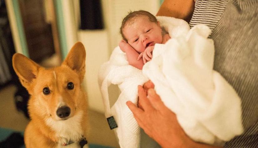 [FOTOS] Mujer dio a luz y no se percató del apoyo de su perro hasta que publicó las fotos