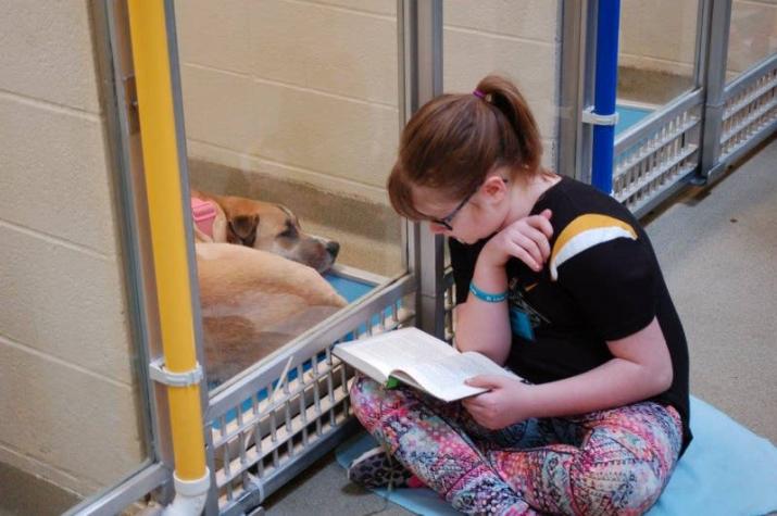 [VIDEO] Niños leen cuentos a perritos abandonados para que sean más sociables y puedan ser adoptados