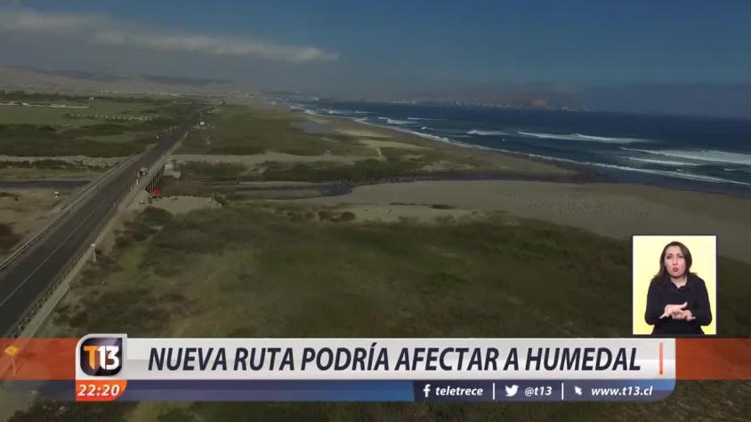 [VIDEO] Nueva ruta podría afectar a humedal en Arica