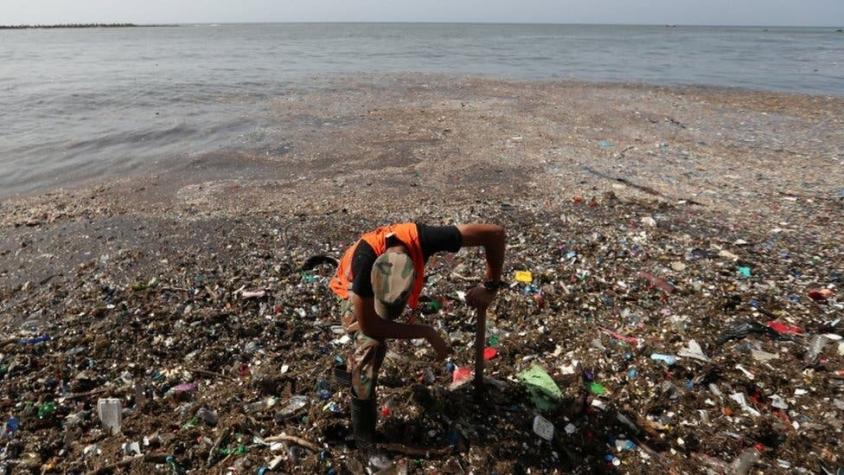 Una impactante marea de basura cubrió las playas de República Dominicana