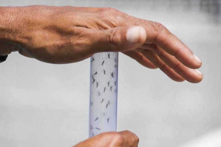 "La epidemia del zika no acabó", advierte experto brasileño