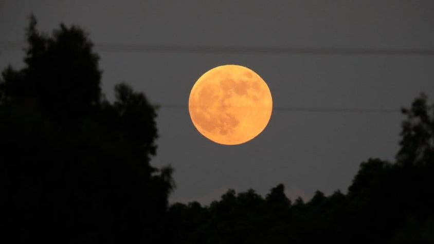 Eclipse lunar: las espectaculares imágenes de cómo se está viendo en el mundo el fenómeno