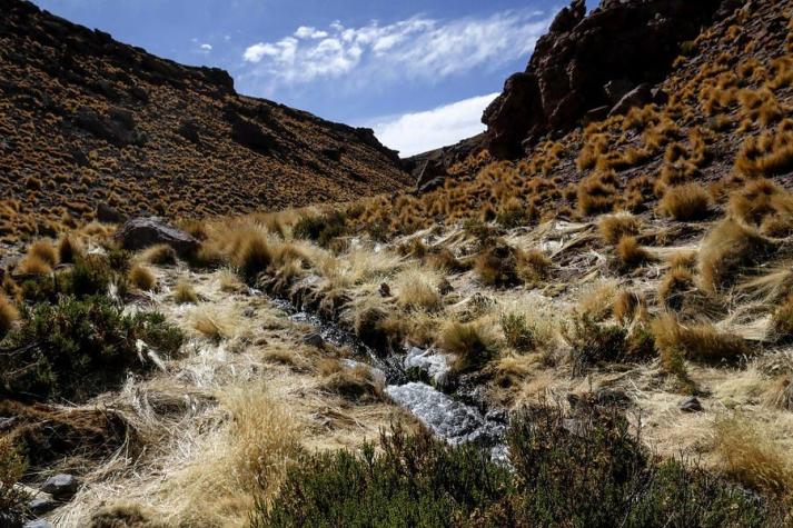 Bolivia contrademanda a Chile por aguas del río Silala