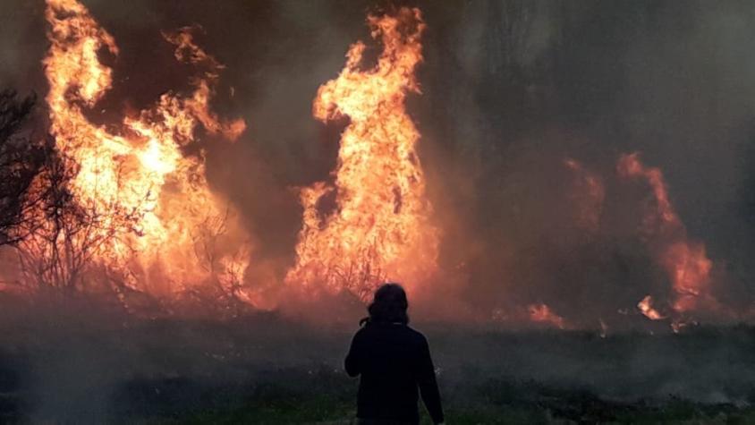 [VIDEO] Onemi declara Alerta Roja en Pirque por incendio forestal