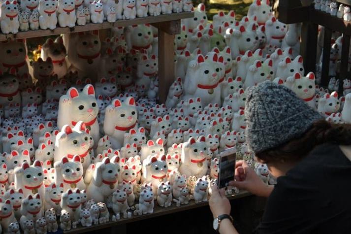[FOTOS] Templo de 'gatos de la suerte' en Tokio atrae a 'instagramers' de todo el mundo