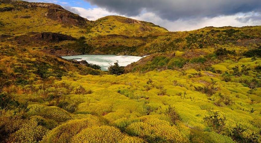 Investigadores chilenos encuentran en la Patagonia el yacimiento de metano más grande del mundo