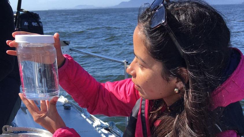 La bióloga que viajó a través de aguas llenas de plástico en el Pacífico y regresó consternada