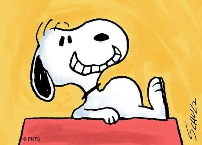 Snoopy se acerca a los 70 años y sigue más activo que nunca