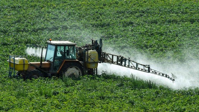 Demanda a Monsanto: ¿qué es el glifosato y qué tan riesgoso es el uso de este herbicida?