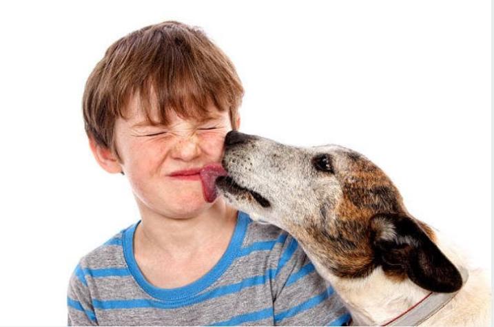 ¿Es saludable que nuestro perro o gato nos "bese" en la cara?
