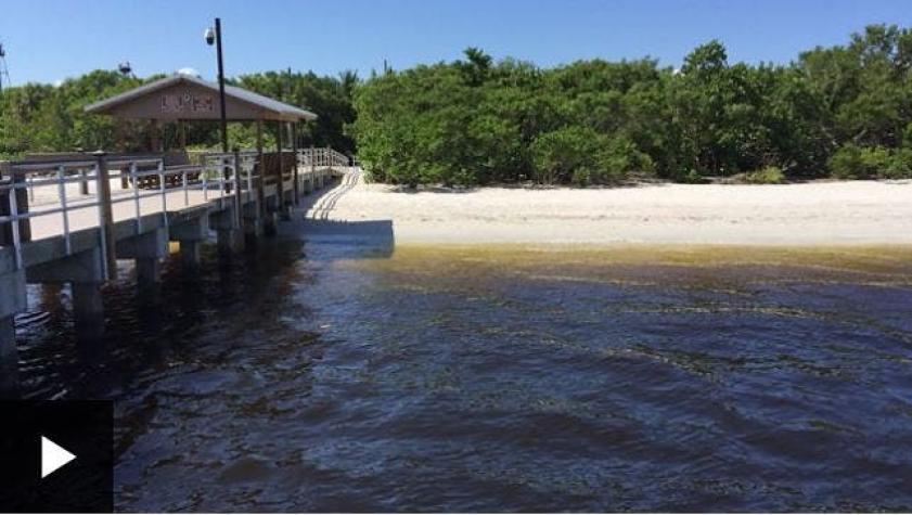 [VIDEO] Así se ve la marea roja tóxica que tiene en emergencia a Florida