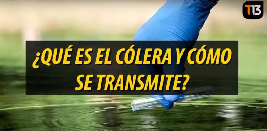 [VIDEO] ¿Qué es el cólera y cómo se transmite?