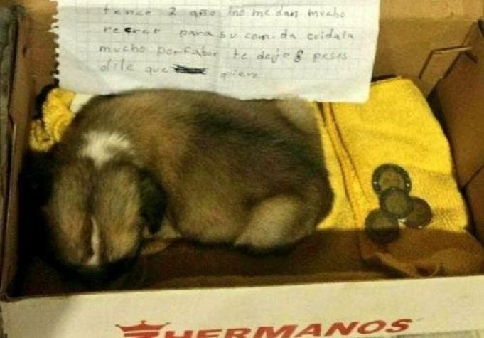 [FOTO] Niña escribe conmovedora carta tras ser obligada a regalar su mascota "Cristalita"