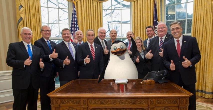 Sustituir a Trump por un pingüino: el desafío viral que se burla del presidente de EE.UU.