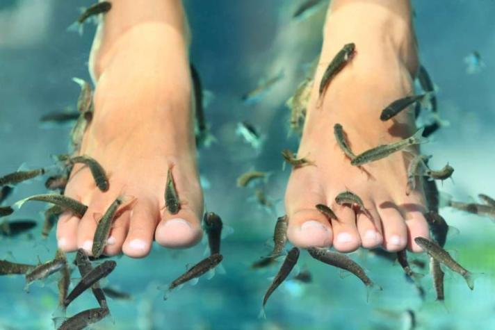 Mujer perdió los dedos de su pie derecho por hacerse la pedicure con peces  en Tailandia