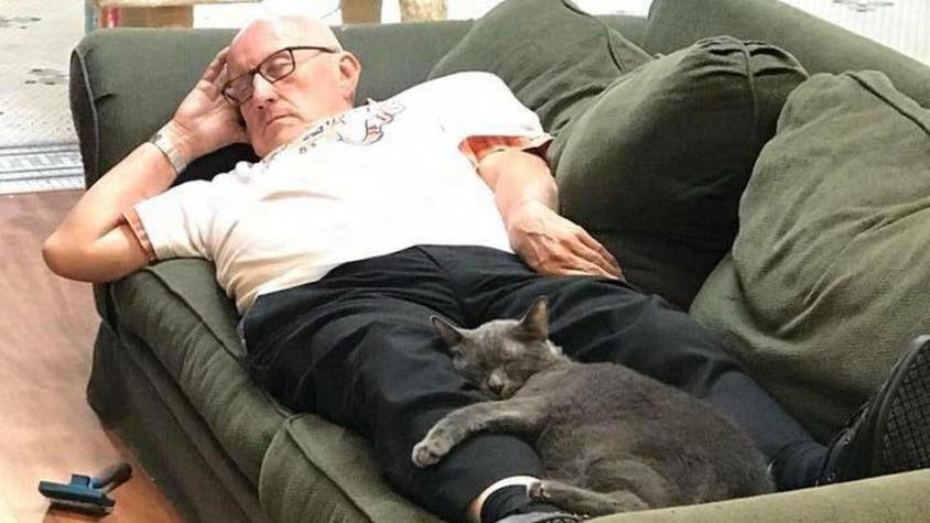 Las tiernas fotos del "abuelito de los gatos" que se volvieron virales