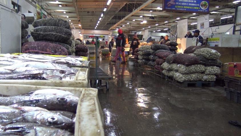 [VIDEO] #HistoriasEn8Minutos: Historias del terminal pesquero